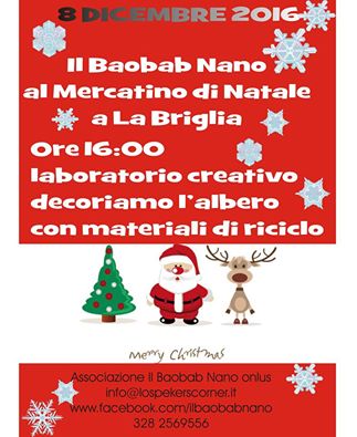 Baobab spola doro 8 dicembre