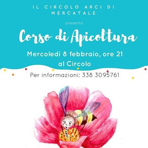 APICOLTURA MERCATALE