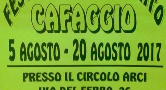 Festa del volontariato cafaggio