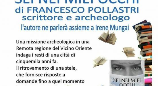 Libro pollastri s ippolito