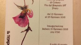 Il tempo di flora