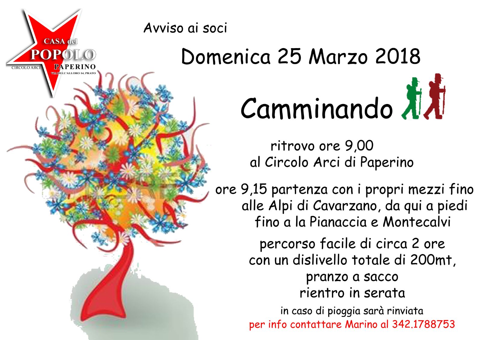 Papeino camminand0 25 arzo