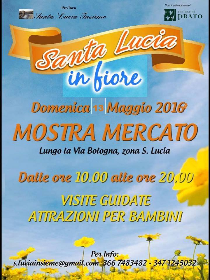 Santa luci ain fiore