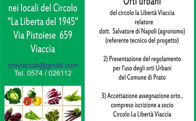 Orti viaccia 26 gennaio
