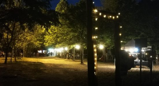 66359454 2421226281267112 1012975948091359232 n