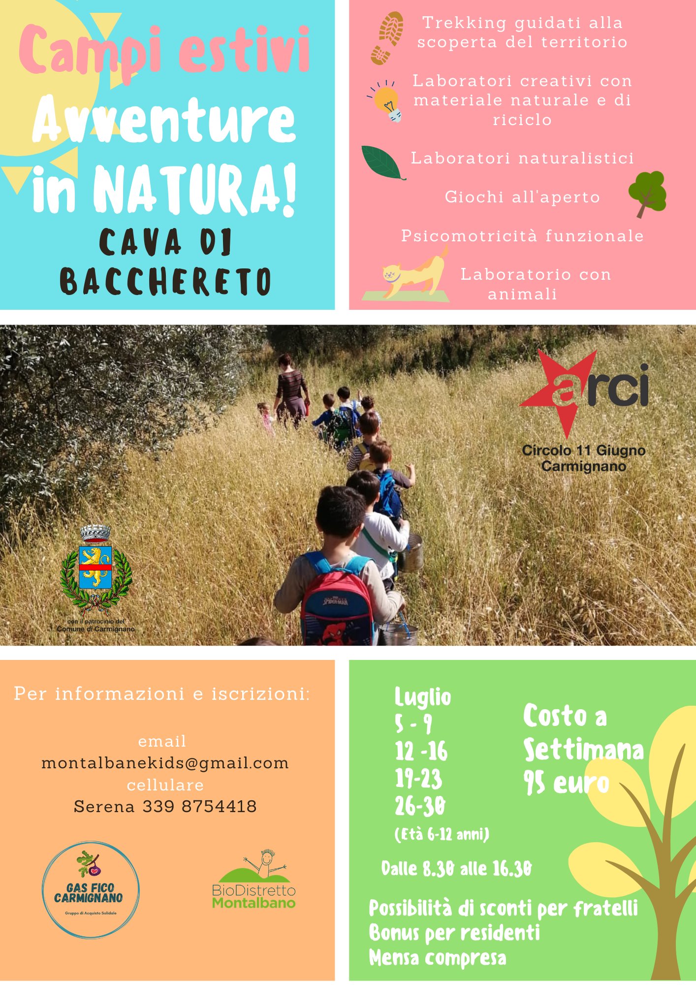 Campi estivi bacchereto