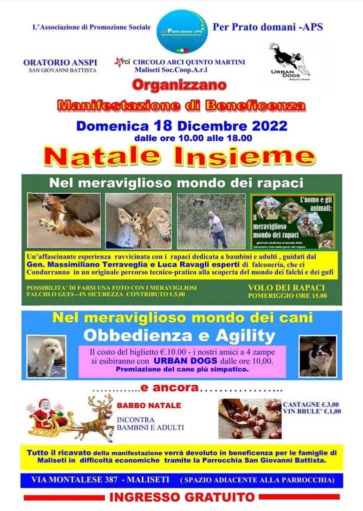 natale maliseti 2022
