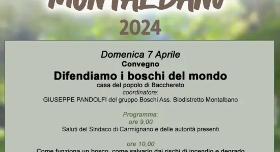 Photo 2024 03 28 21 06 40