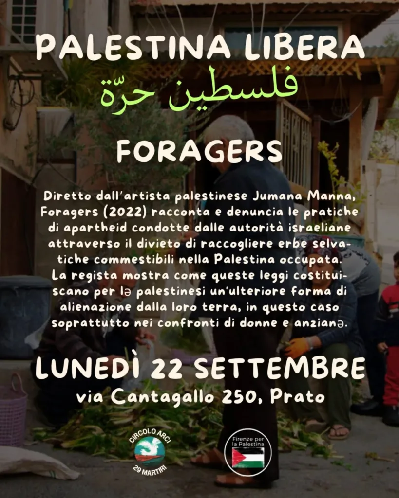 29 martiri foragers